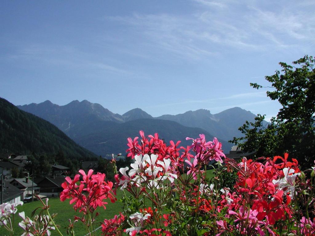 Gasthof Lechner Rasun di Sopra Pokoj fotografie